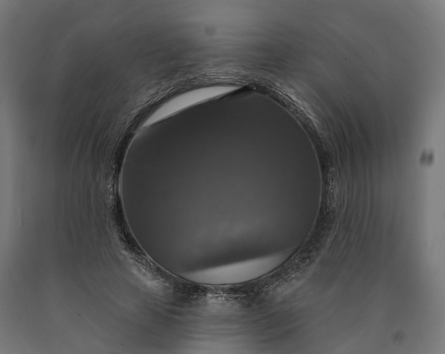 X0000090770641200708031653