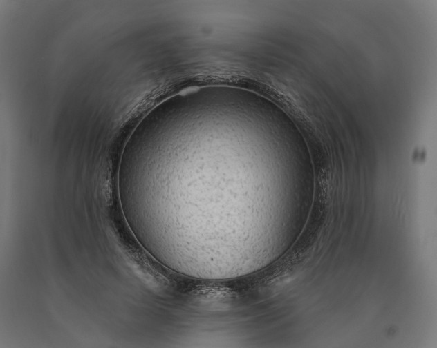 X0000090770642200708031653