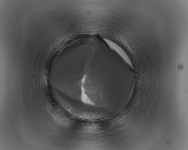 X0000090770643200708031653