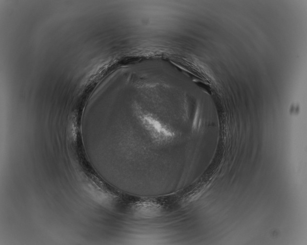 X0000090770644200708031653