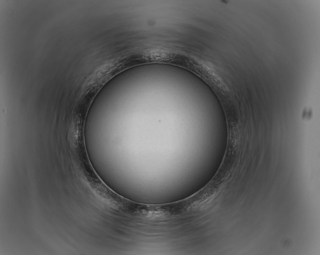 X0000090770645200708031653