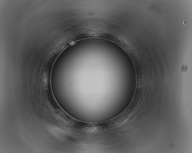 X0000090770646200708031653