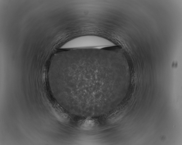 X0000090770647200708031653