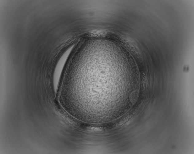 X0000090770649200708031653