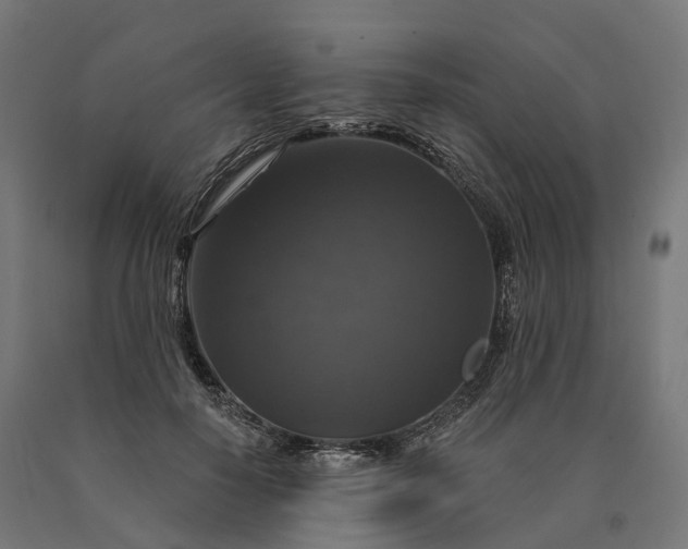 X0000090770650200708031653