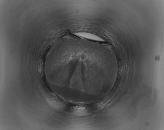 X0000090770651200708031653