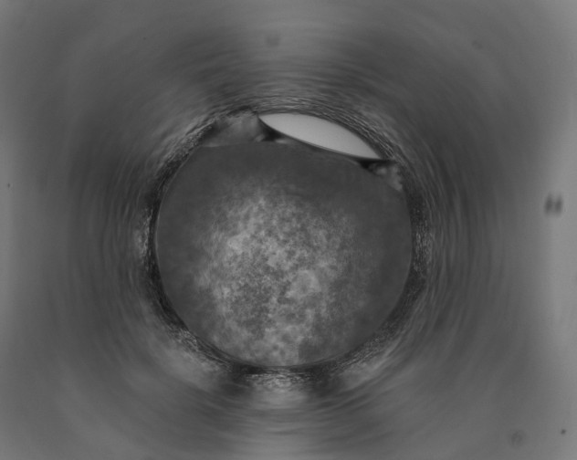 X0000090770652200708031653