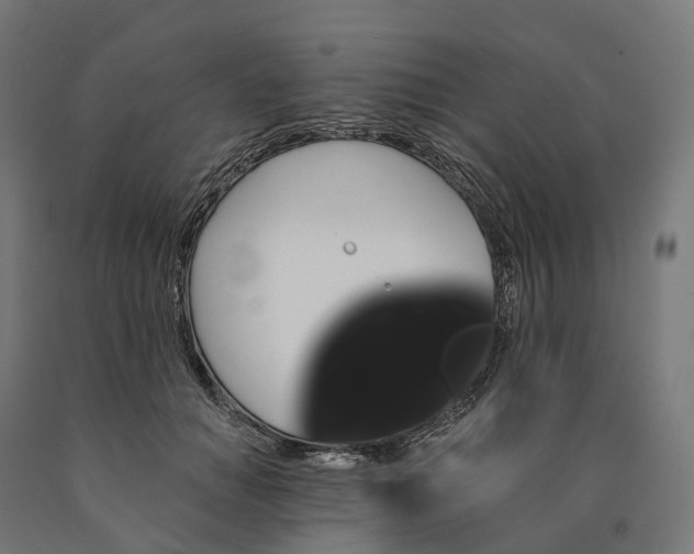 X0000090770654200708031653