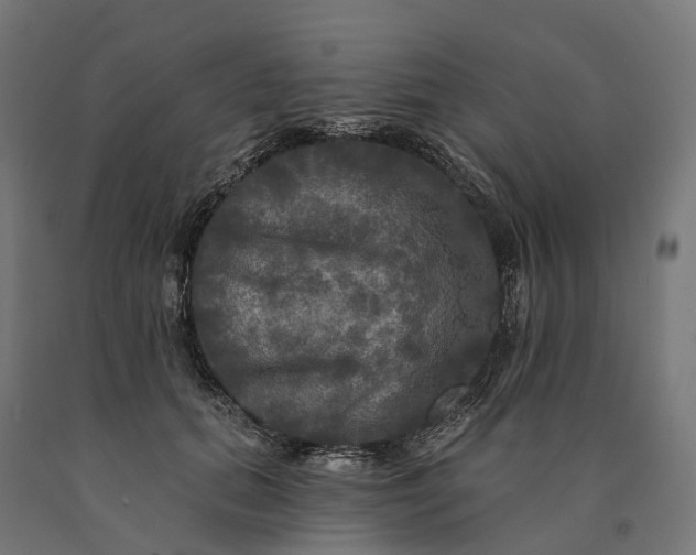 X0000090770655200708031653