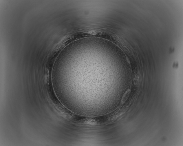 X0000090770656200708031653