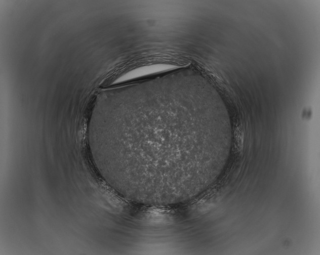 X0000090770657200708031653