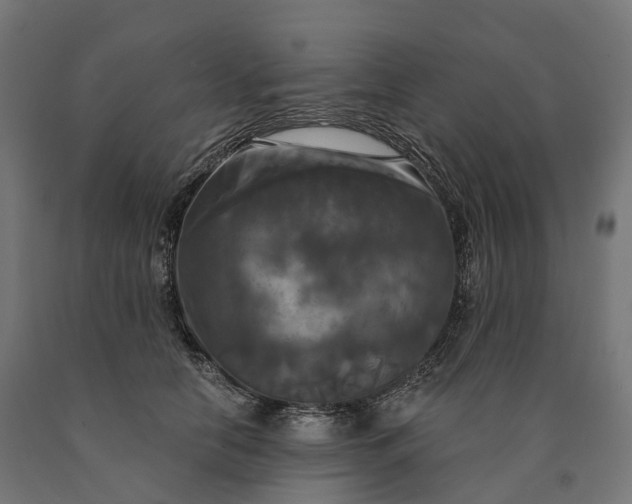 X0000090770658200708031654