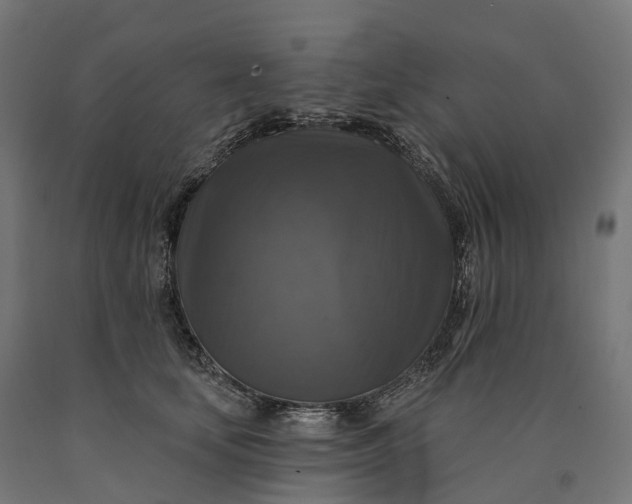 X0000090770659200708031654