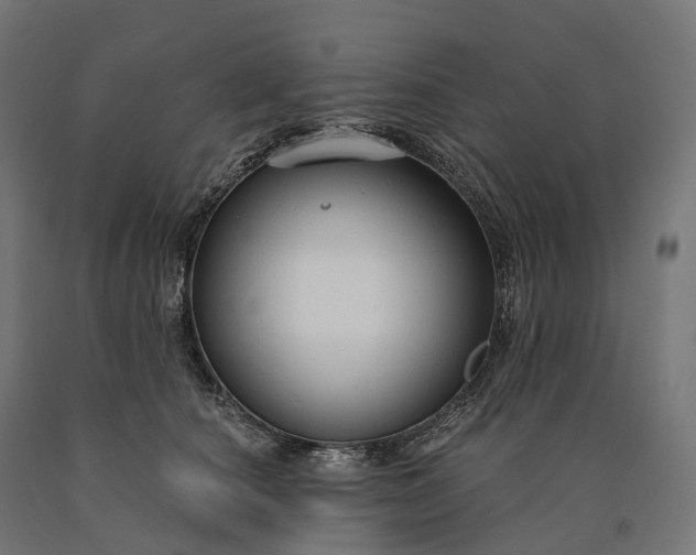 X0000090770660200708031654