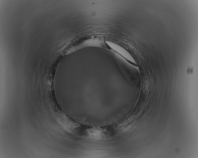 X0000090770661200708031654