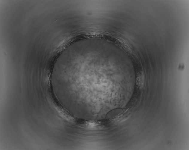 X0000090770662200708031654
