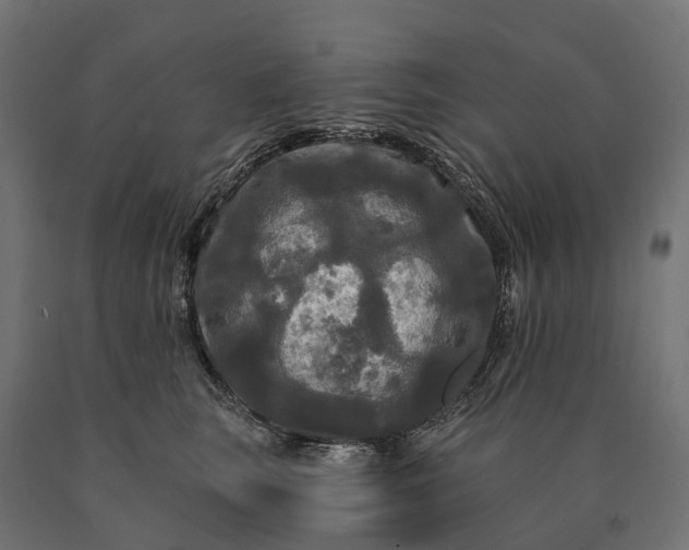 X0000090770663200708031654
