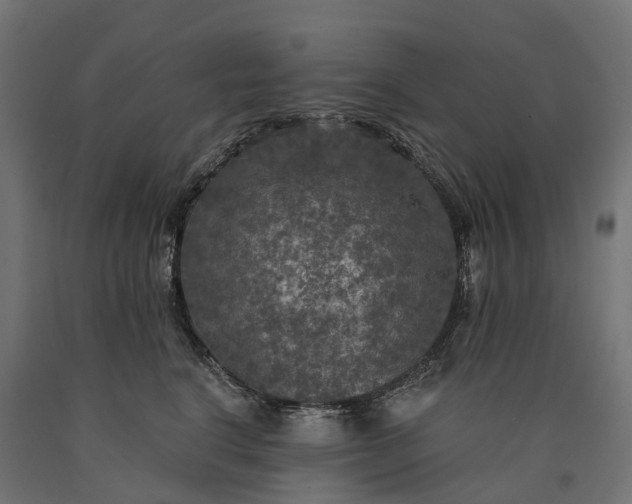 X0000090770664200708031654