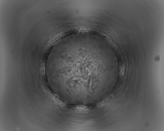 X0000090770666200708031654