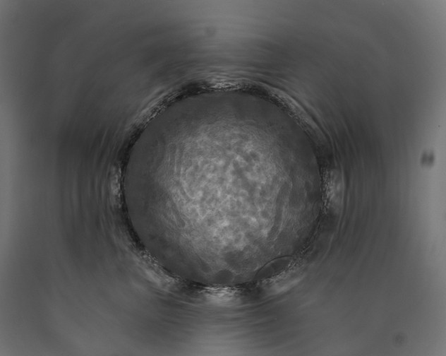 X0000090770667200708031654