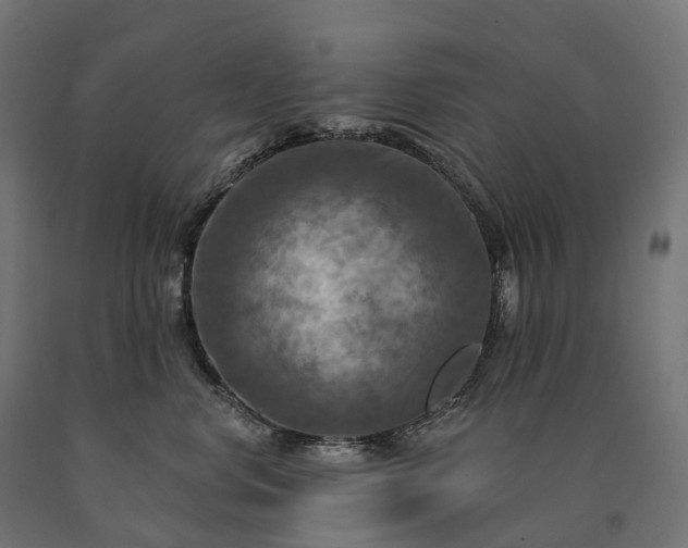 X0000090770668200708031654