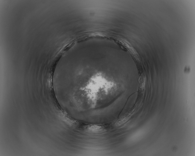 X0000090770669200708031654
