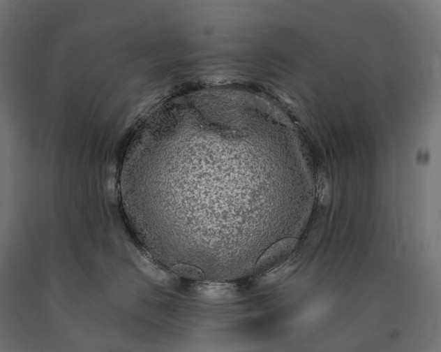 X0000090770670200708031654