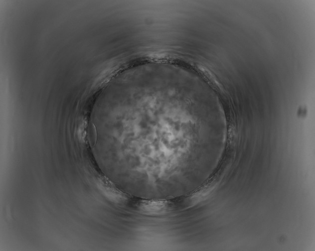 X0000090770671200708031654