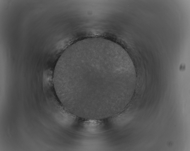 X0000090770672200708031654