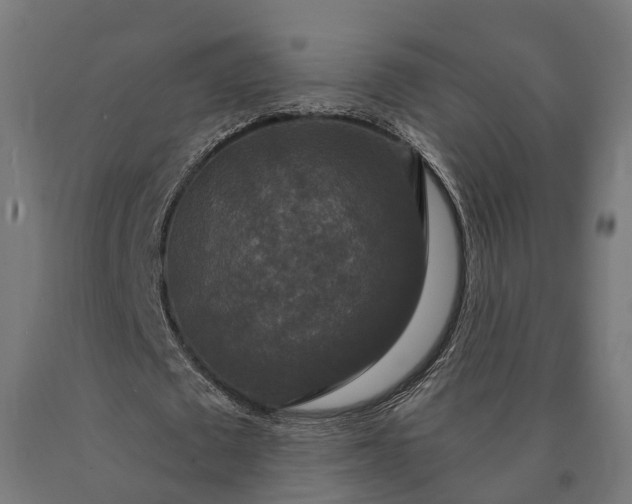 X0000090770673200708031653