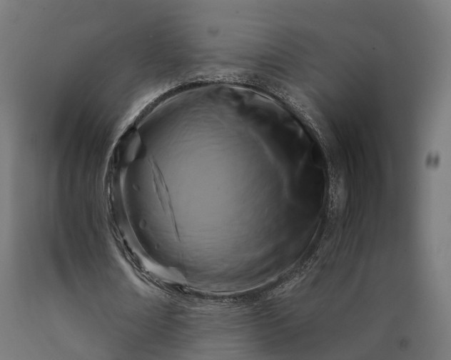 X0000090770674200708031653
