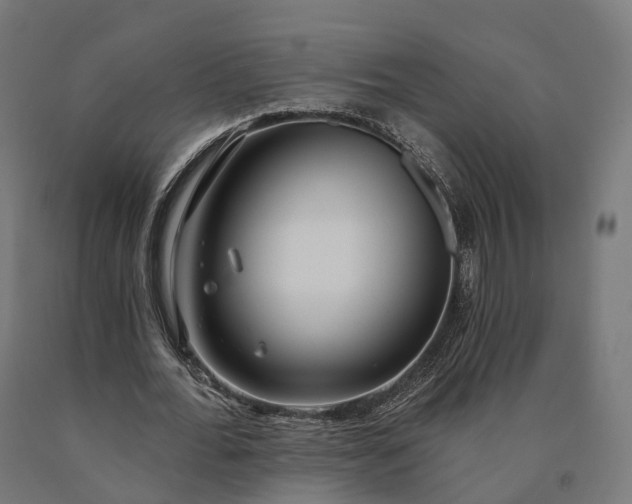 X0000090770676200708031653