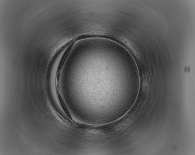 X0000090770677200708031653