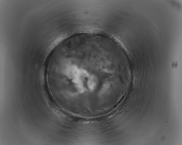 X0000090770679200708031653