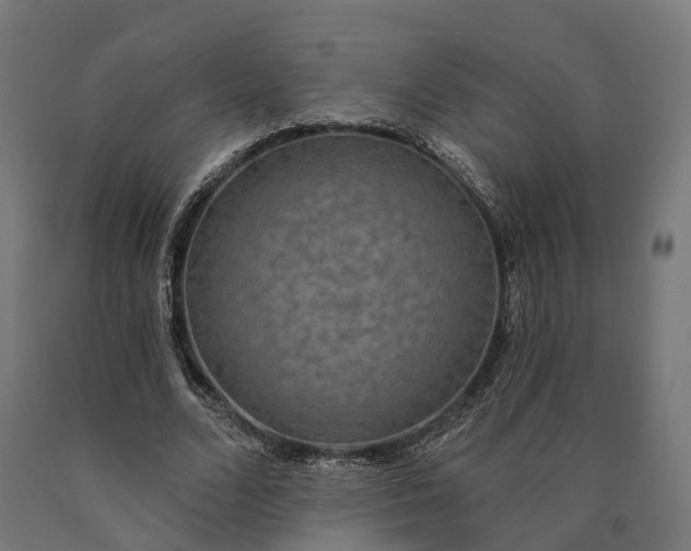 X0000090770680200708031653