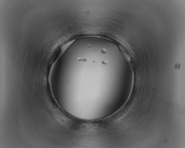 X0000090770681200708031653