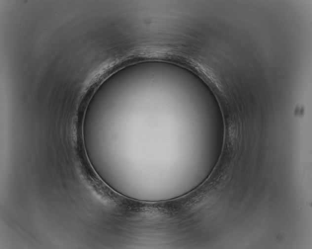 X0000090770682200708031653