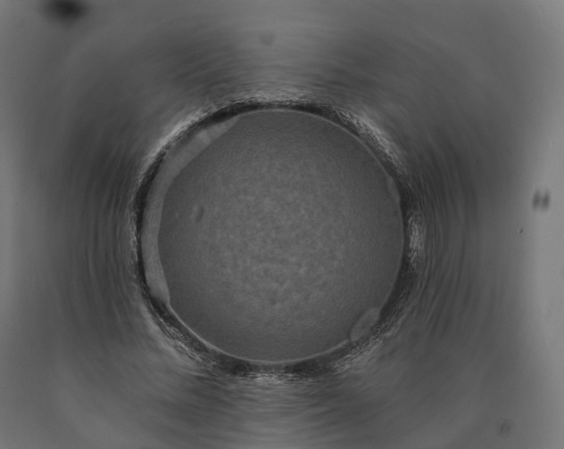 X0000090770684200708031653