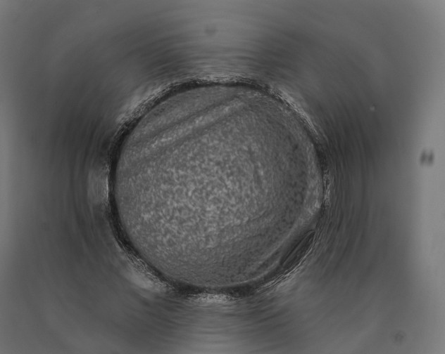 X0000090770685200708031653