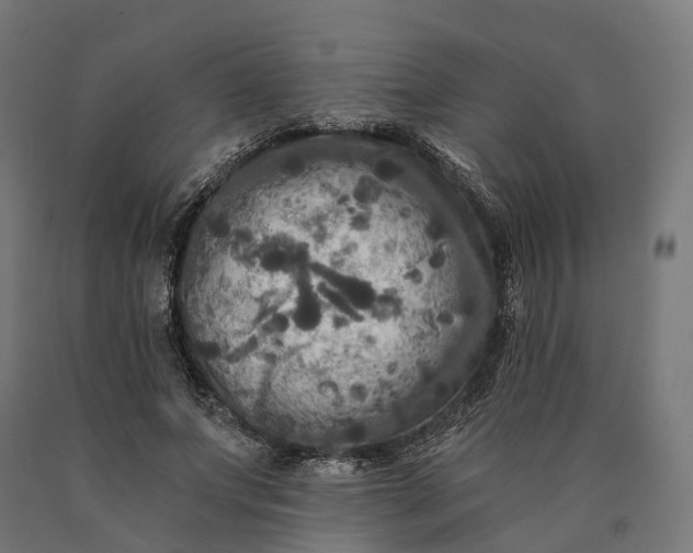 X0000090770687200708031653