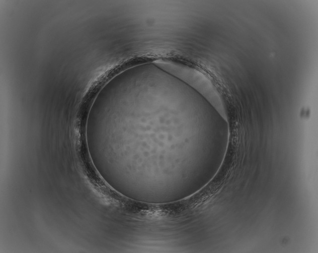 X0000090770688200708031653