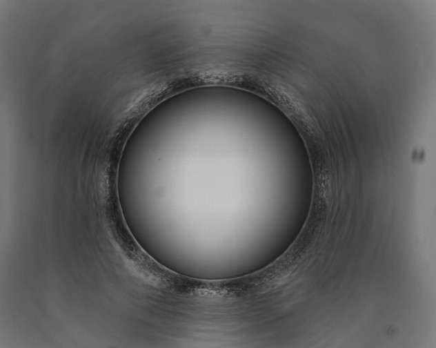 X0000090770690200708031653