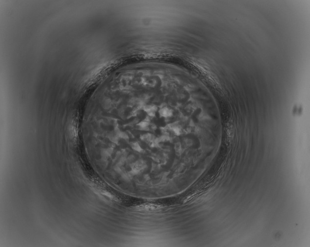 X0000090770691200708031653
