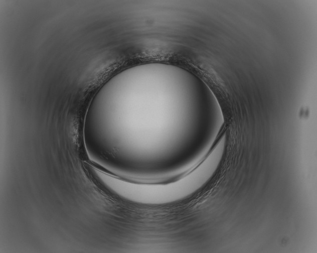 X0000090770693200708031653
