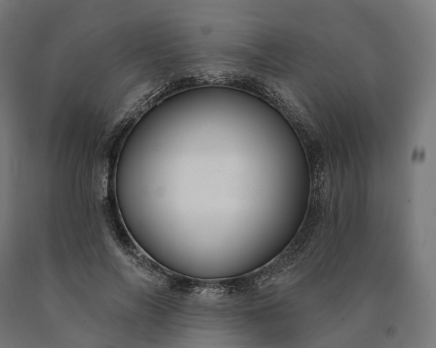 X0000090770694200708031653
