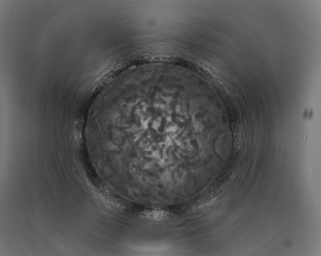 X0000090770695200708031653