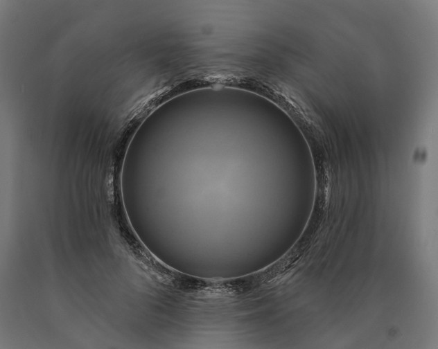 X0000090770696200708031653
