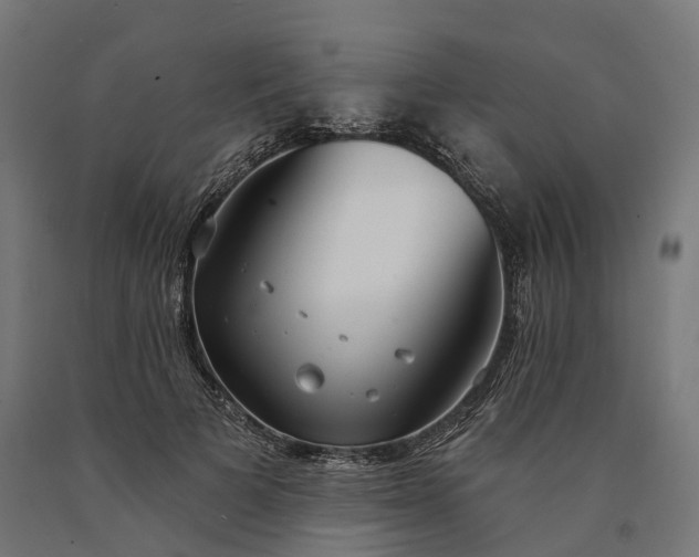 X0000090770697200708031653