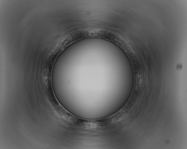 X0000090770698200708031653