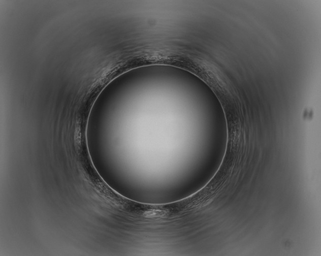 X0000090770700200708031653